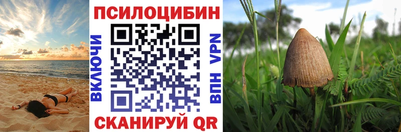 Галлюциногенные грибы прущие грибы  Удомля 
