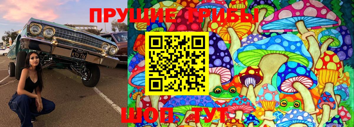 Удомля  Псилоцибиновые грибы Magic Shrooms  Вход с VPN 
